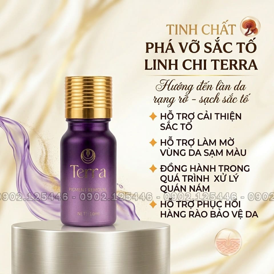 LINH CHI LVS1