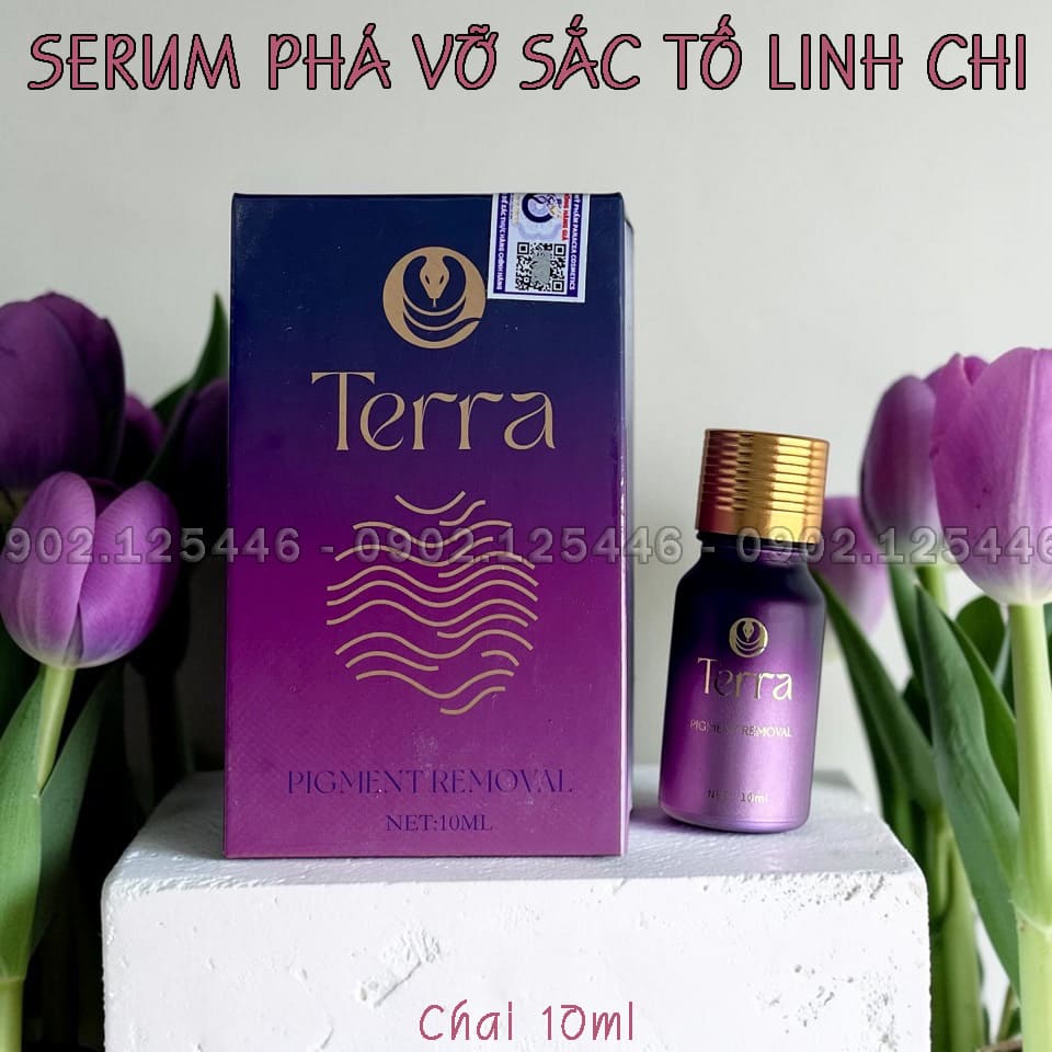 LINH CHI LVS2